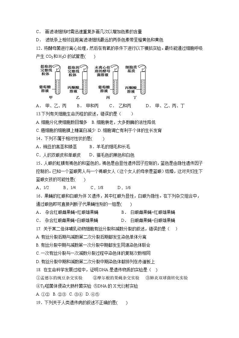 【生物】云南省腾冲市第八中学2018-2019学年高二上学期期中考试试题03