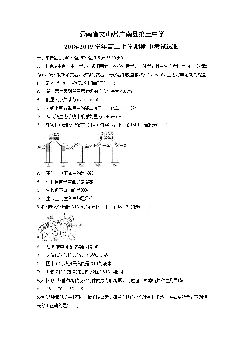【生物】云南省文山州广南县第三中学2018-2019学年高二上学期期中考试试题01