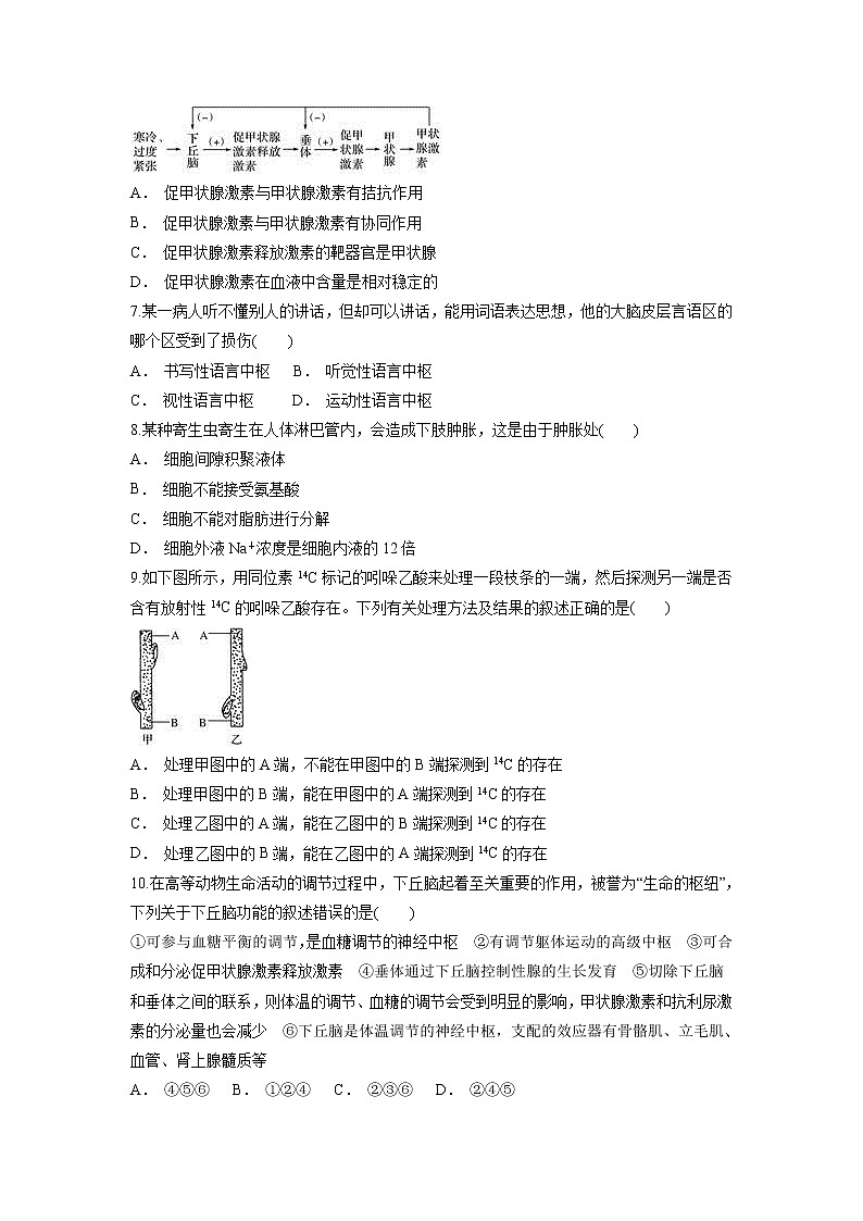【生物】云南省玉溪市华培教育集体2018-2019学年高二上学期期中考试试题02
