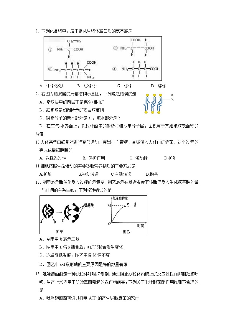 【生物】浙江省临海市白云高级中学2018-2019学年高二上学期期中考试试题02