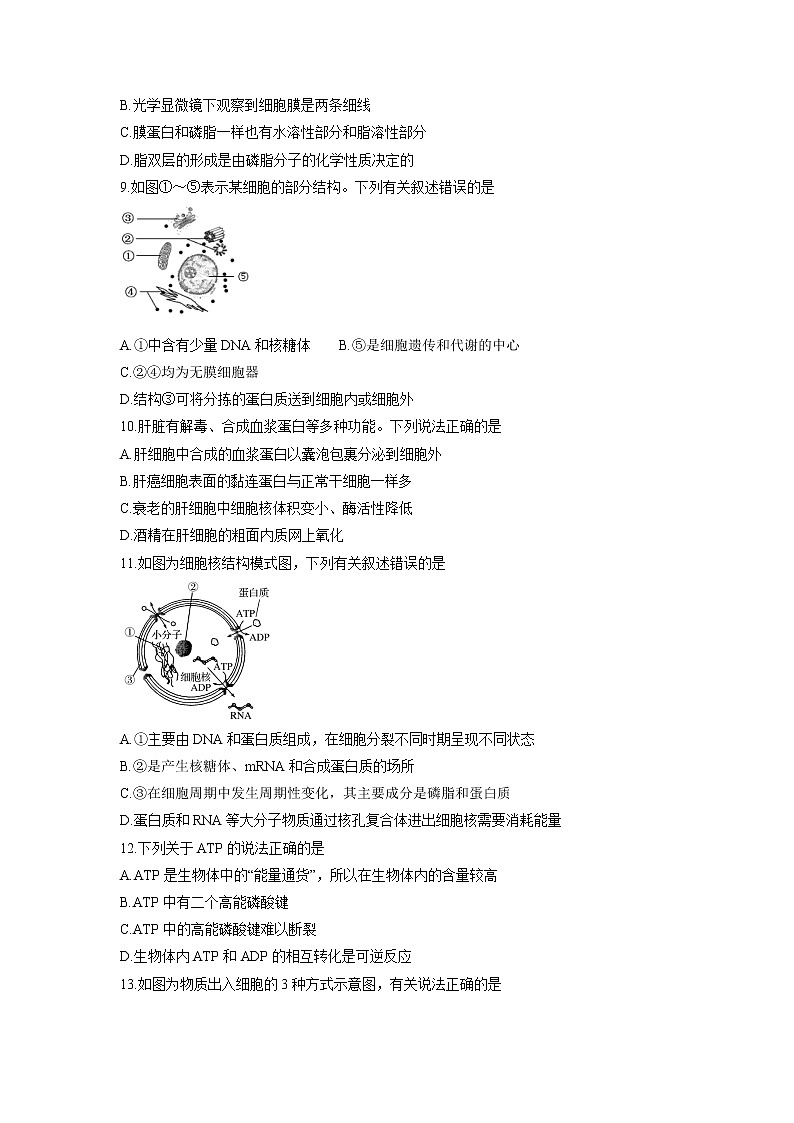 【生物】浙江省台州市书生中学2018-2019学年高二上学期期中考试试题02