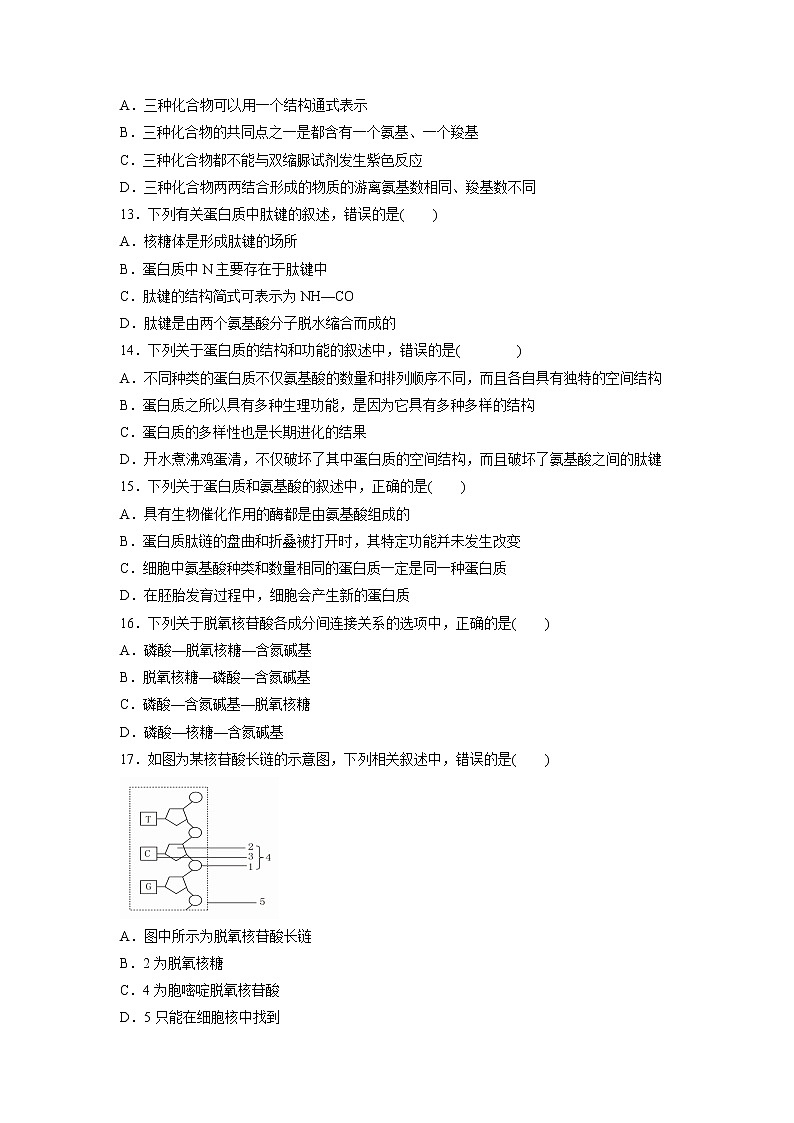 【生物】重庆市铜梁一中2018-2019学年高二上学期期中考试试题第3页
