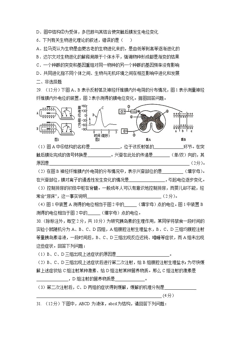 【生物】四川省青神中学2018-2019学年高二上学期期中（半期）考试试题02