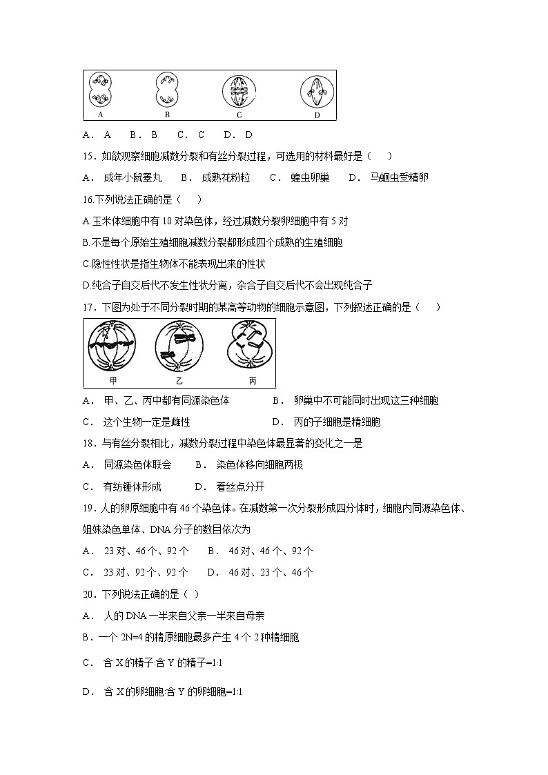 【生物】新疆博尔塔拉蒙古自治州第五师高级中学2018-2019学年高二上学期期中考试试卷03