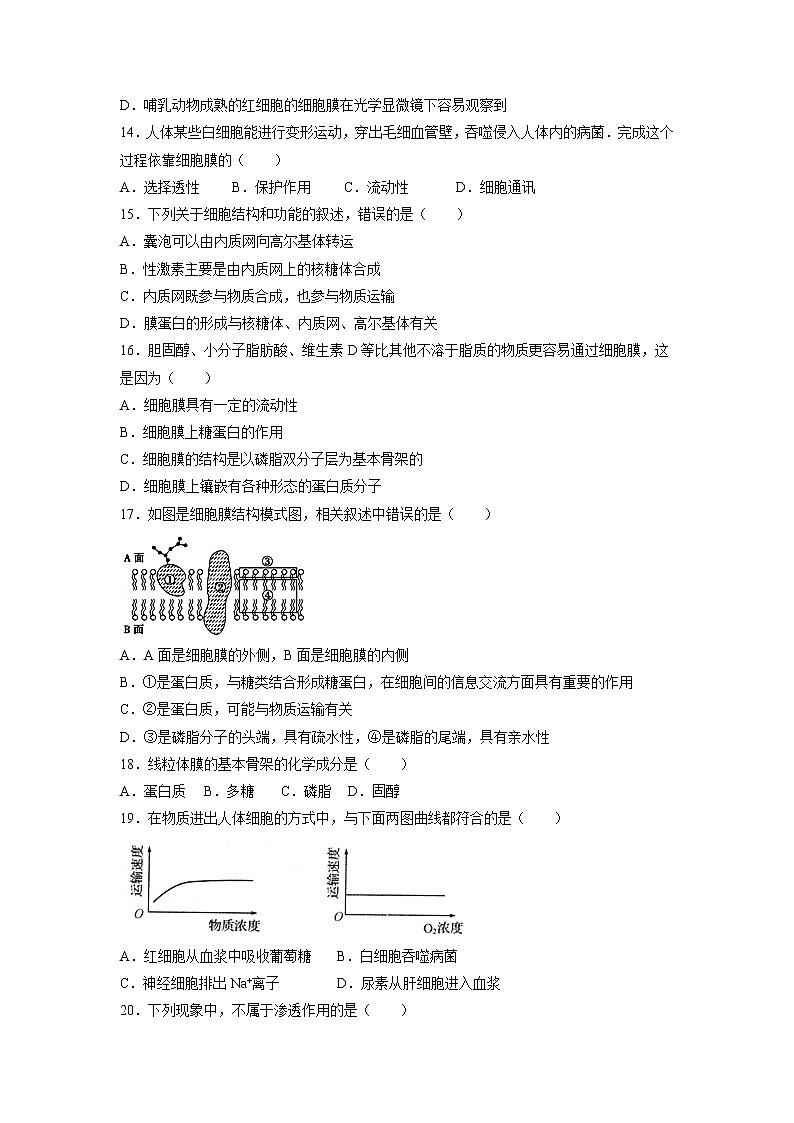 【生物】新疆沙雅县第二中学2018-2019学年高二上学期期中考试试题03
