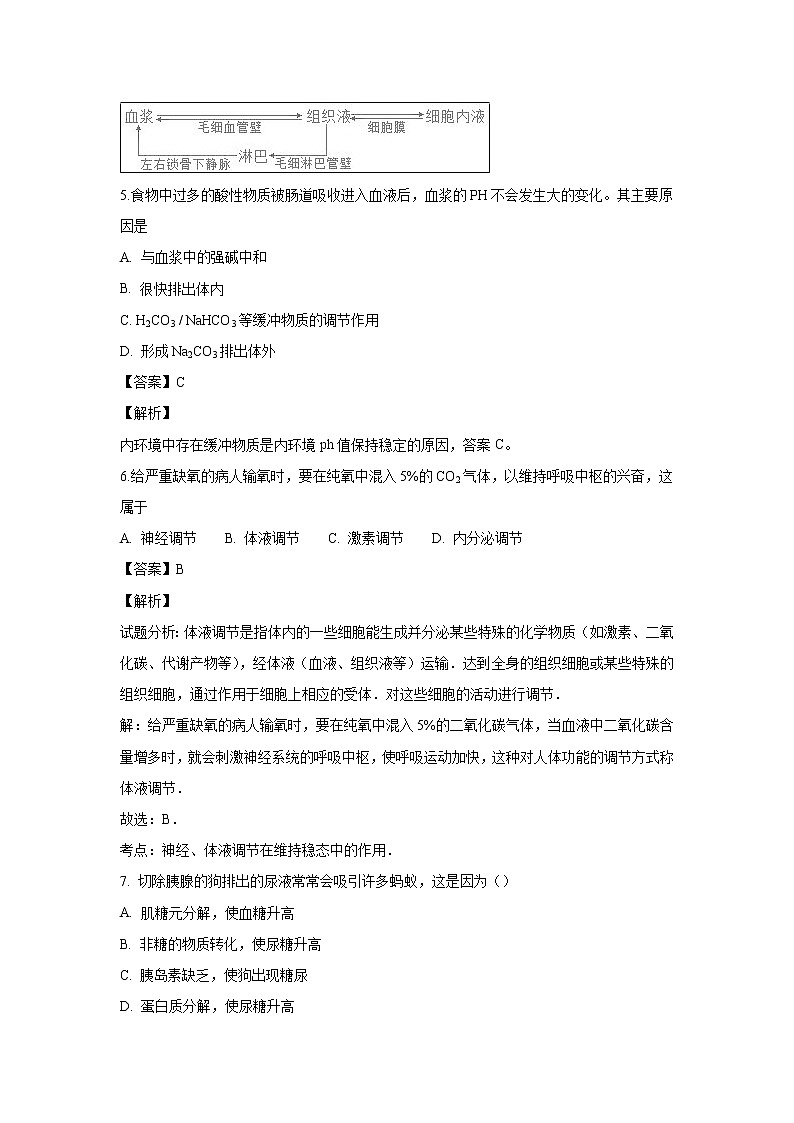 【生物】新疆维吾尔自治区生产建设兵团第二中学2018-2019学年高二上学期期中检测试卷（解析版）03