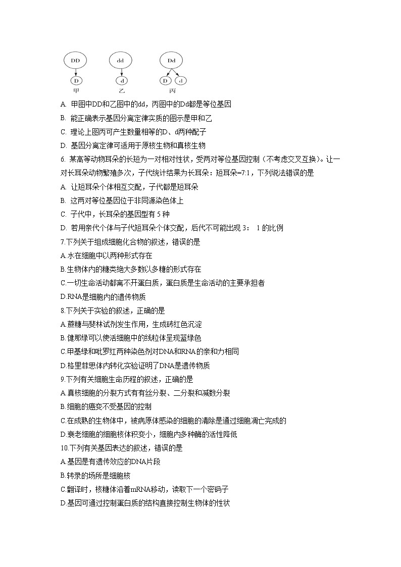 【生物】云南省梁河县第一中学2018-2019学年高二上学期期中模拟试题02