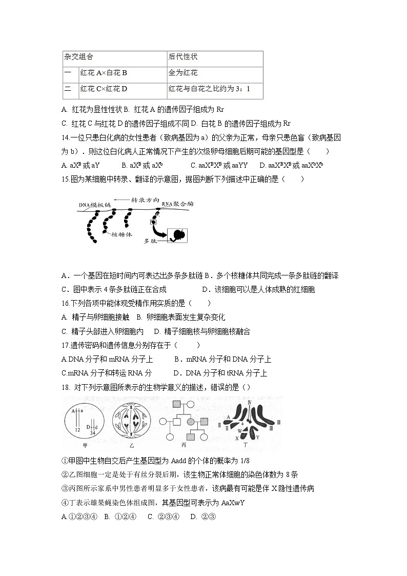 【生物】新疆乌鲁木齐市第四中学2018-2019学年高二上学期期中考试试题03