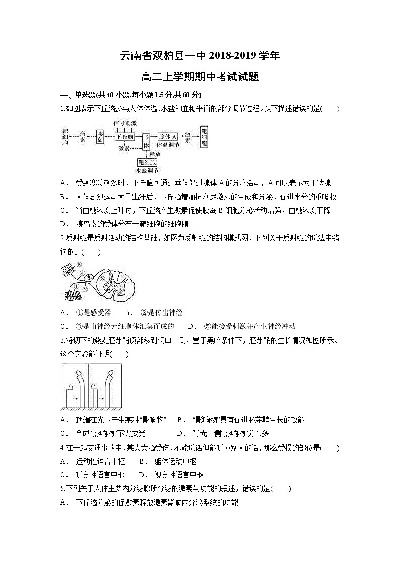 【生物】云南省双柏县一中2018-2019学年高二上学期期中考试试题01