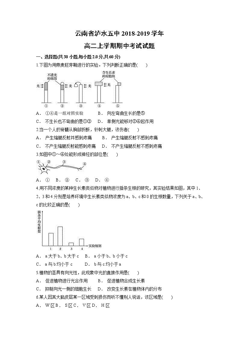 【生物】云南省泸水五中2018-2019学年高二上学期期中考试试题01
