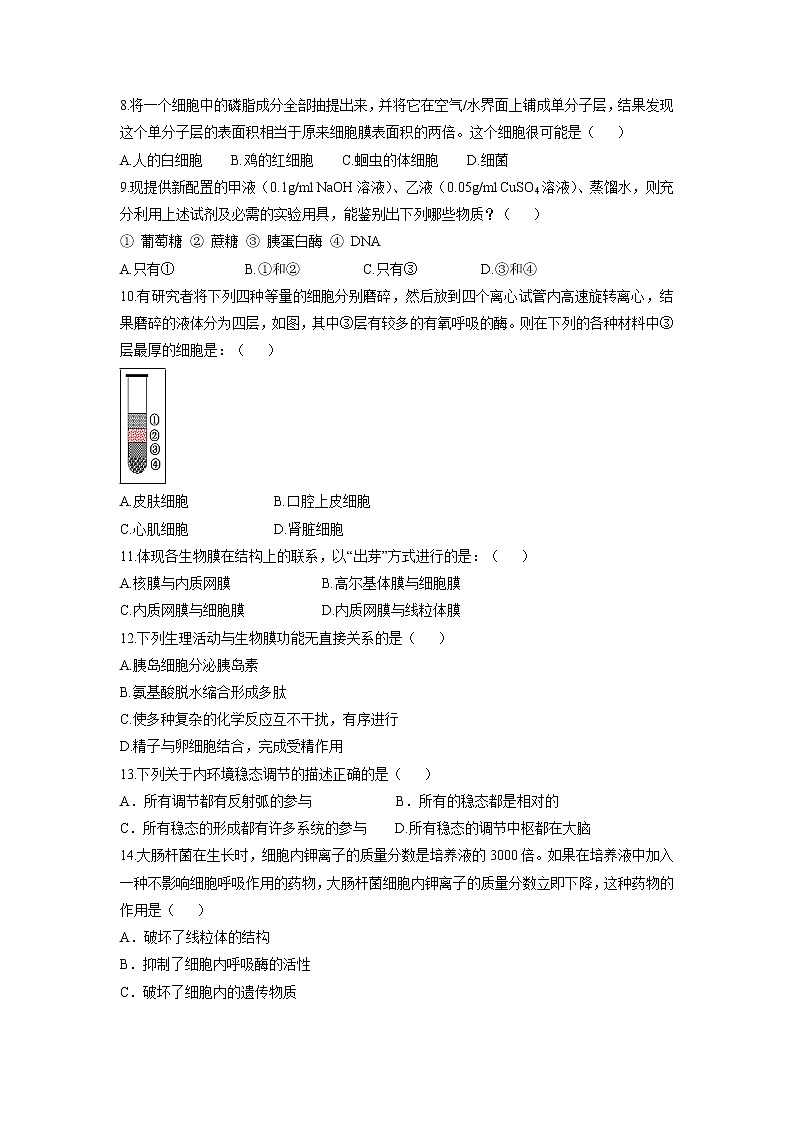 【生物】福建省永春县第一中学2018-2019学年高二下学期期中考试（文）试题02