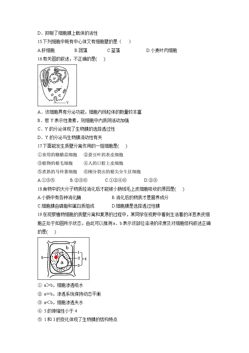 【生物】福建省永春县第一中学2018-2019学年高二下学期期中考试（文）试题03