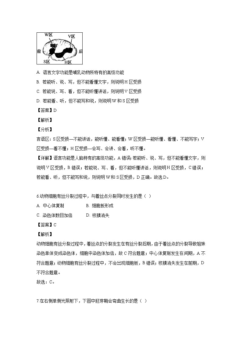 【生物】广东省佛山市第一中学2018-2019学年高二下学期期中考试（文）试题 （解析版）第3页