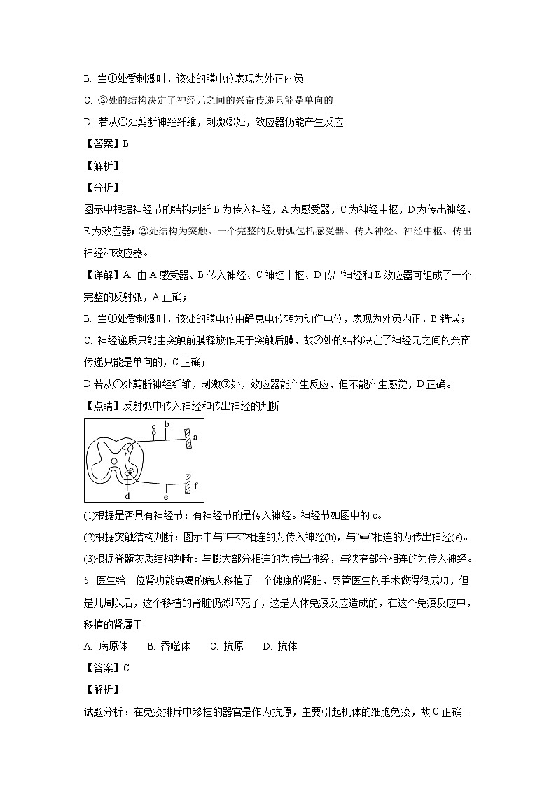 【生物】山西省平遥中学2018-2019学年高二上学期期中考试试题（解析版）03