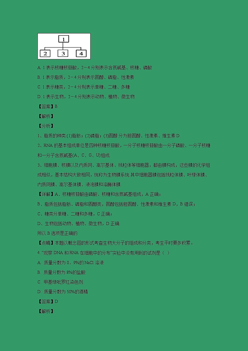 【生物】宁夏回族自治区银川一中2018-2019学年高二上学期期中考试试卷（解析版）02