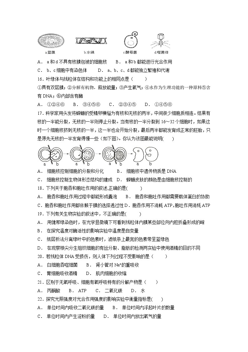 【生物】宁夏青铜峡市高级中学2018-2019学年高二上学期期中考试试题03