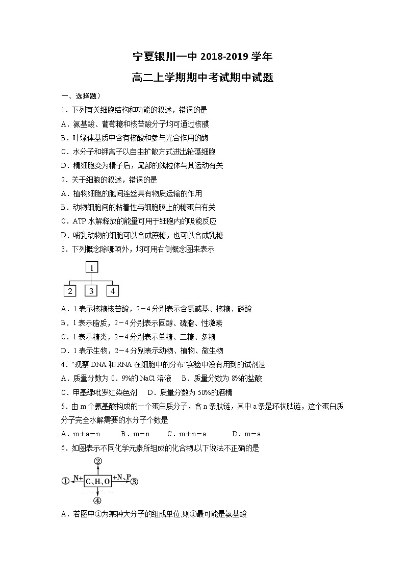 【生物】宁夏银川一中2018-2019学年高二上学期期中考试期中试题01