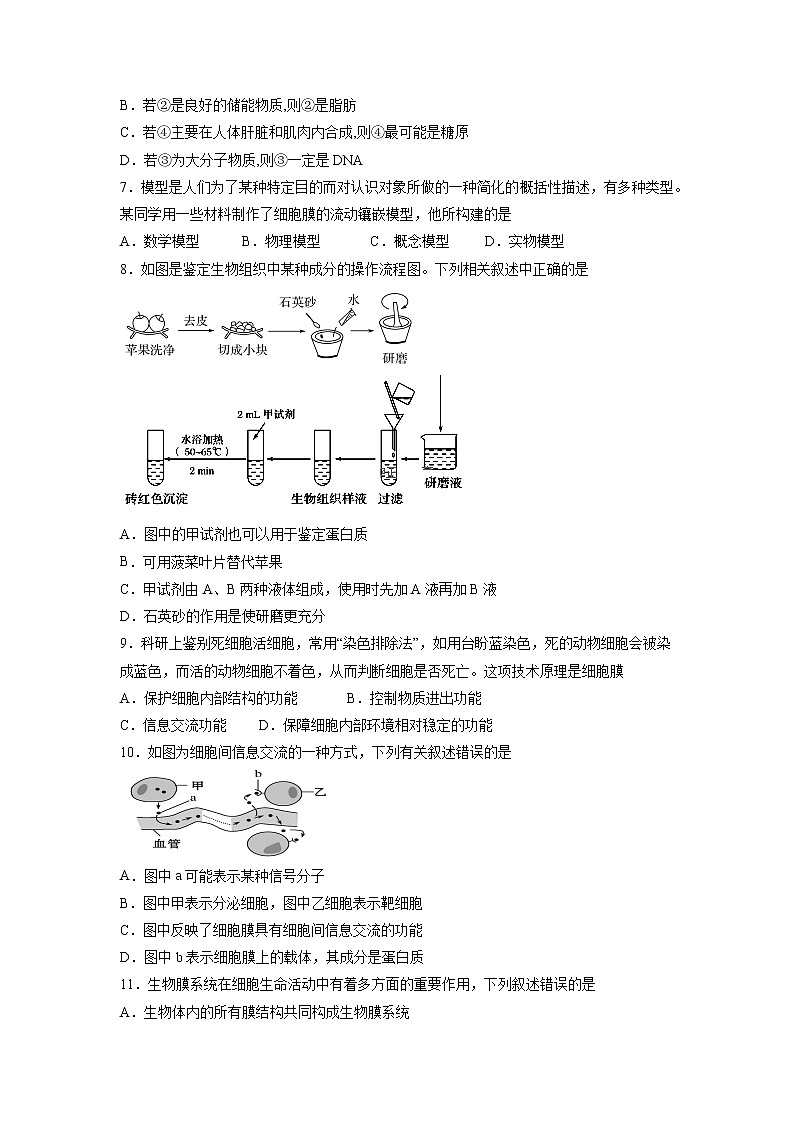 【生物】宁夏银川一中2018-2019学年高二上学期期中考试期中试题02