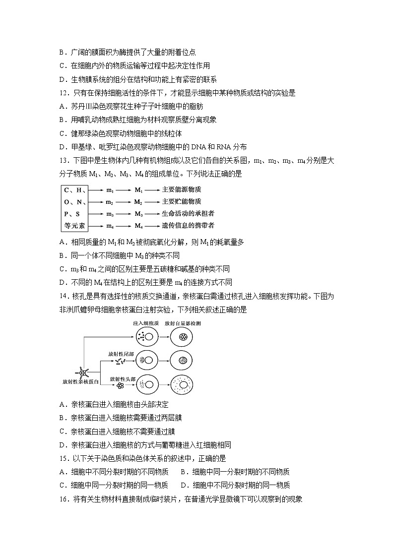 【生物】宁夏银川一中2018-2019学年高二上学期期中考试期中试题03