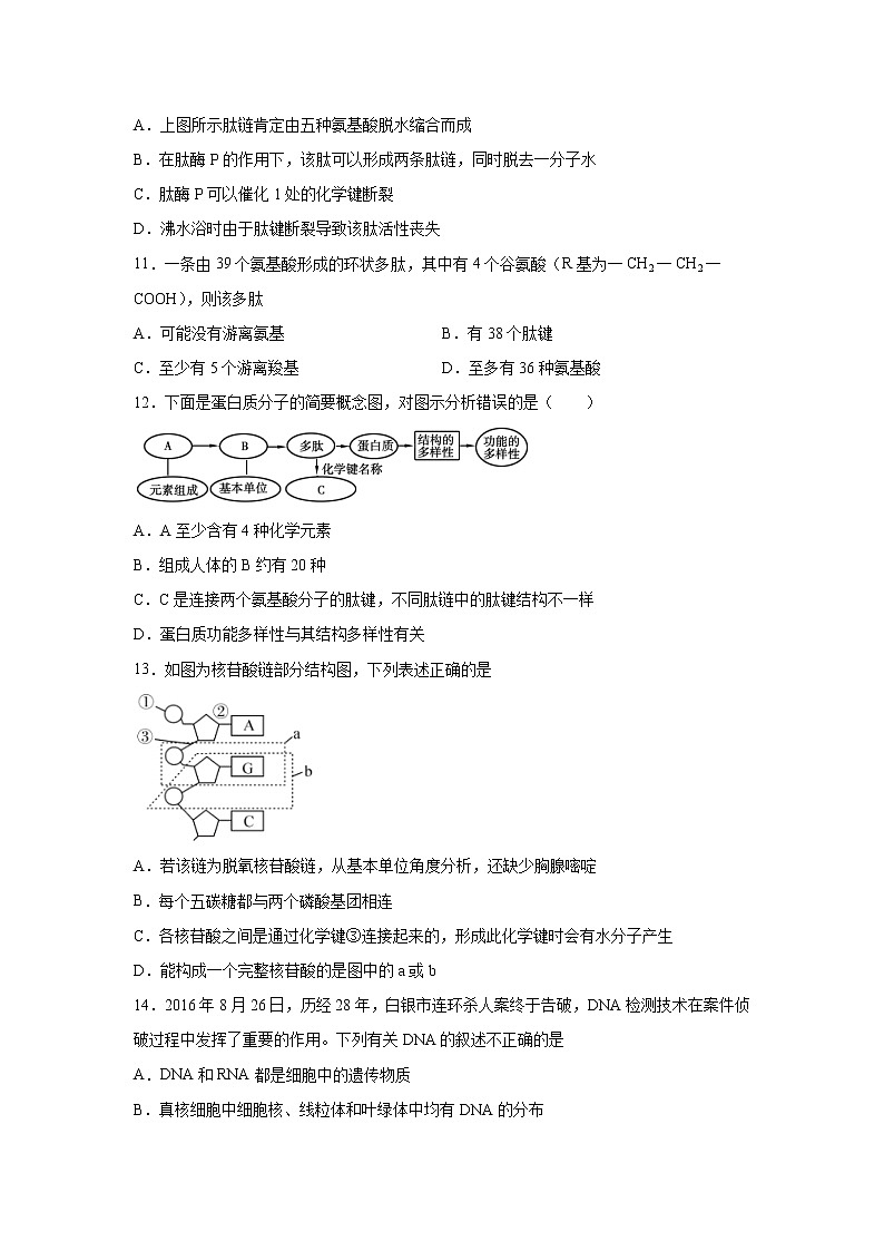 【生物】新疆哈密市第十五中学2019-2020学年高二下学期期末考试试题03