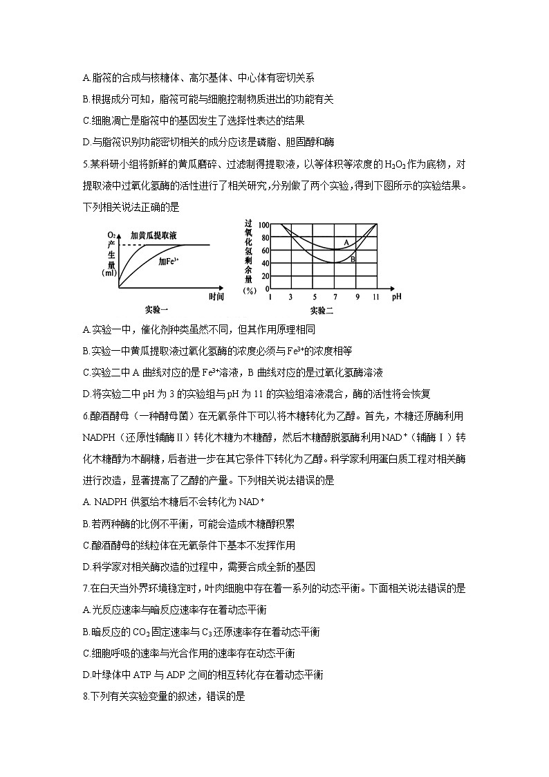 【生物】山东省枣庄市2019-2020学年高二下学期期末考试试题02