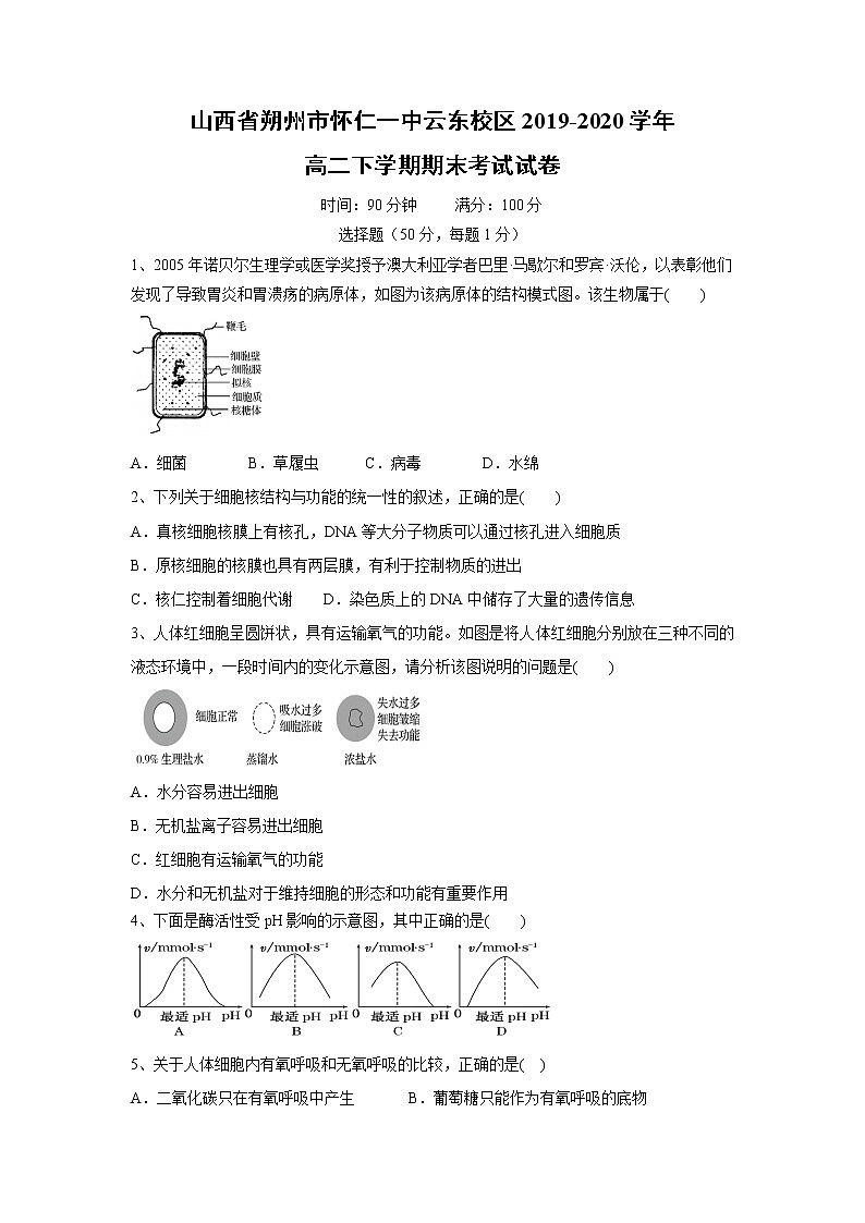 【生物】山西省朔州市怀仁一中云东校区2019-2020学年高二下学期期末考试试卷01