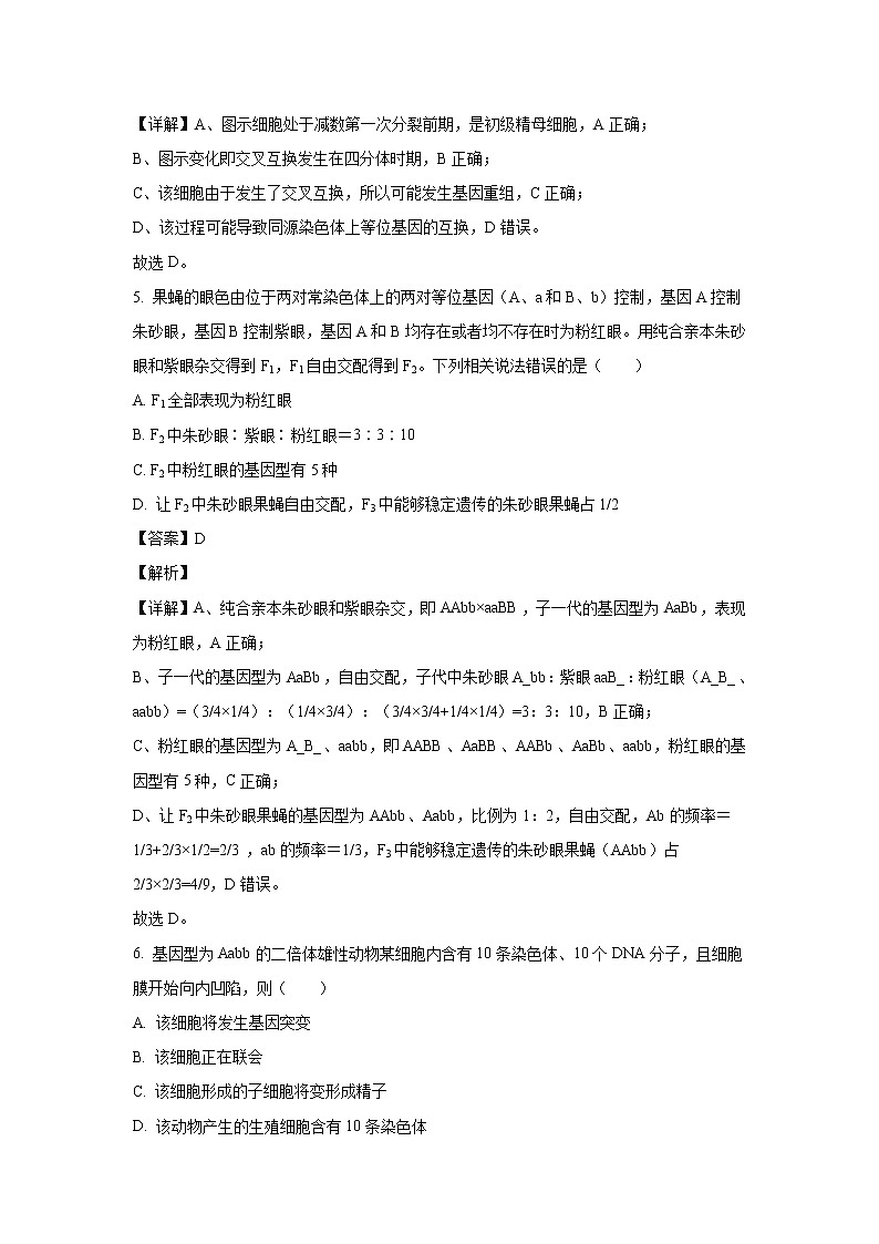 【生物】山东省威海市2019-2020学年高二下学期期末考试试题（解析版）03