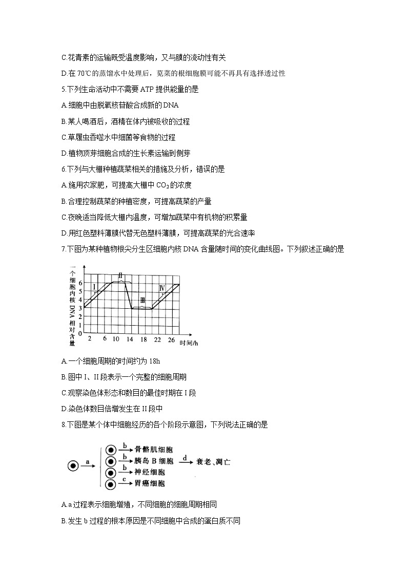 【生物】陕西省商洛市2019-2020学年高二下学期期末考试试题02
