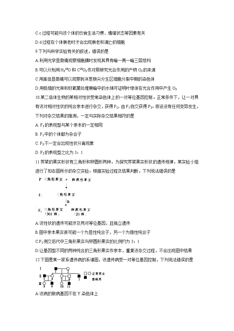 【生物】陕西省商洛市2019-2020学年高二下学期期末考试试题03