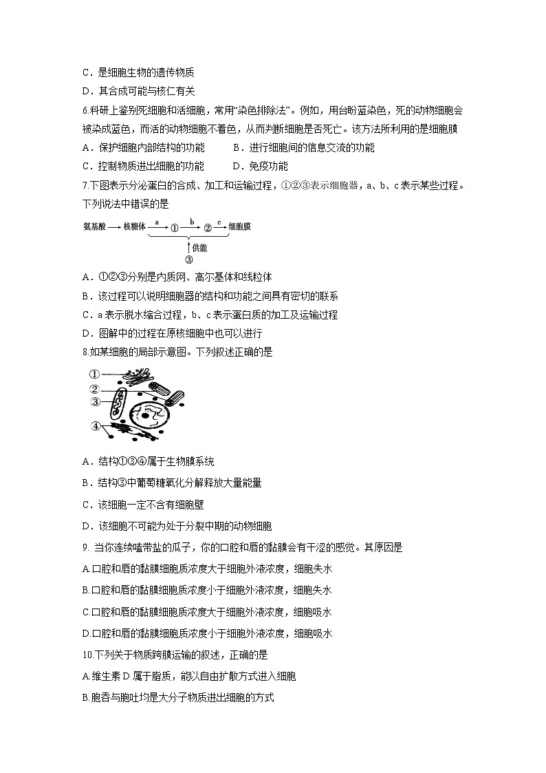 【生物】云南省峨山一中2019-2020学年高二下学期期末考试试题02