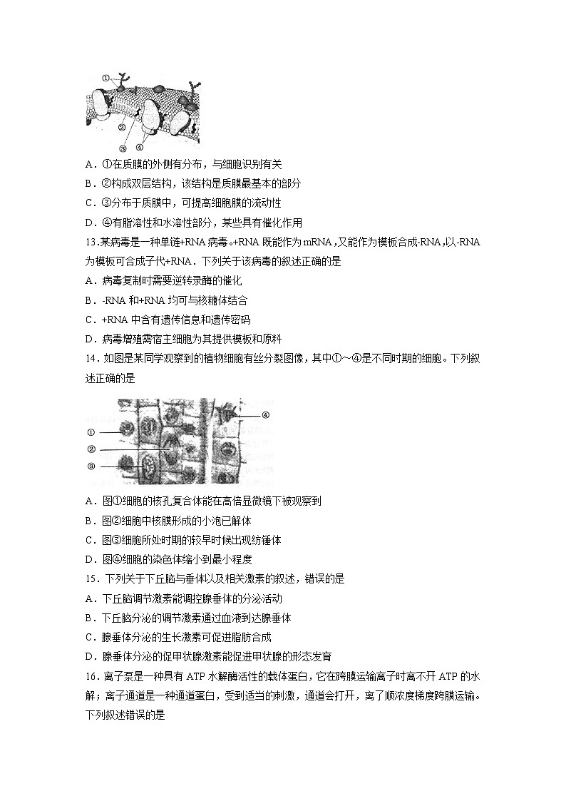 【生物】浙江省嘉兴市2019-2020学年高二下学期期末检测试卷03