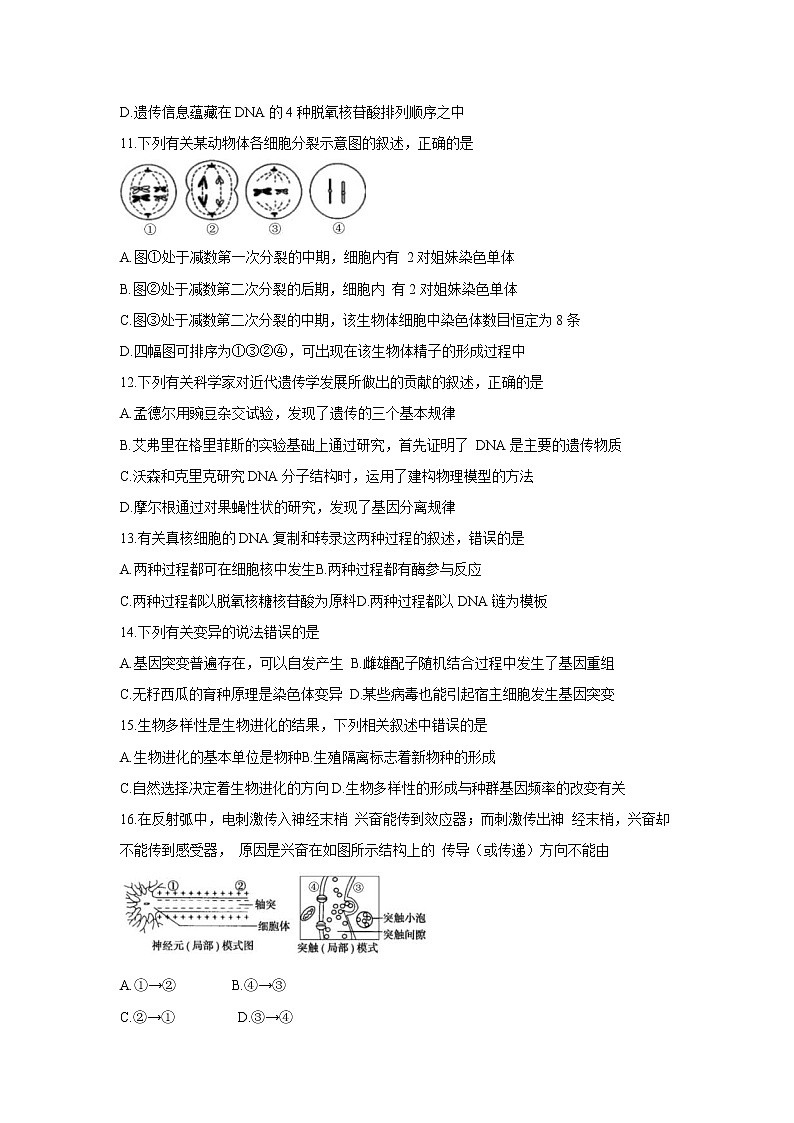 【生物】湖南省益阳市桃江县2019-2020学年高二下学期期末考试试题第3页