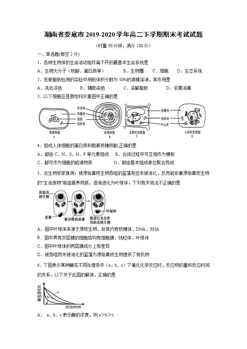 【生物】湖南省娄底市2019-2020学年高二下学期期末考试试题01