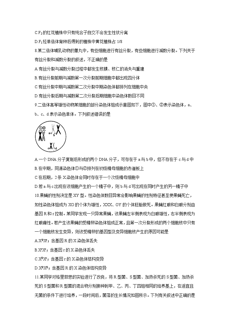 【生物】河南省洛阳市2019-2020学年高二下学期期末质量检测试题第3页