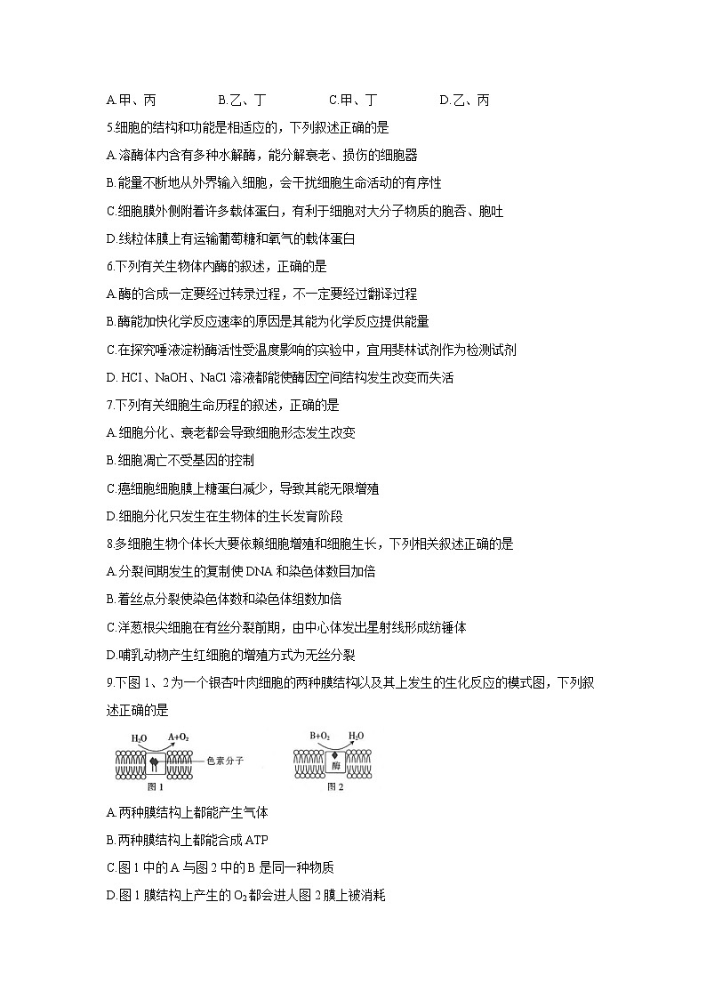 【生物】河南省新乡市新乡县第一中学2019-2020学年高二下学期期末考试试题02