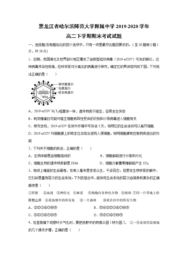 【生物】黑龙江省哈尔滨师范大学附属中学2019-2020学年高二下学期期末考试试题01