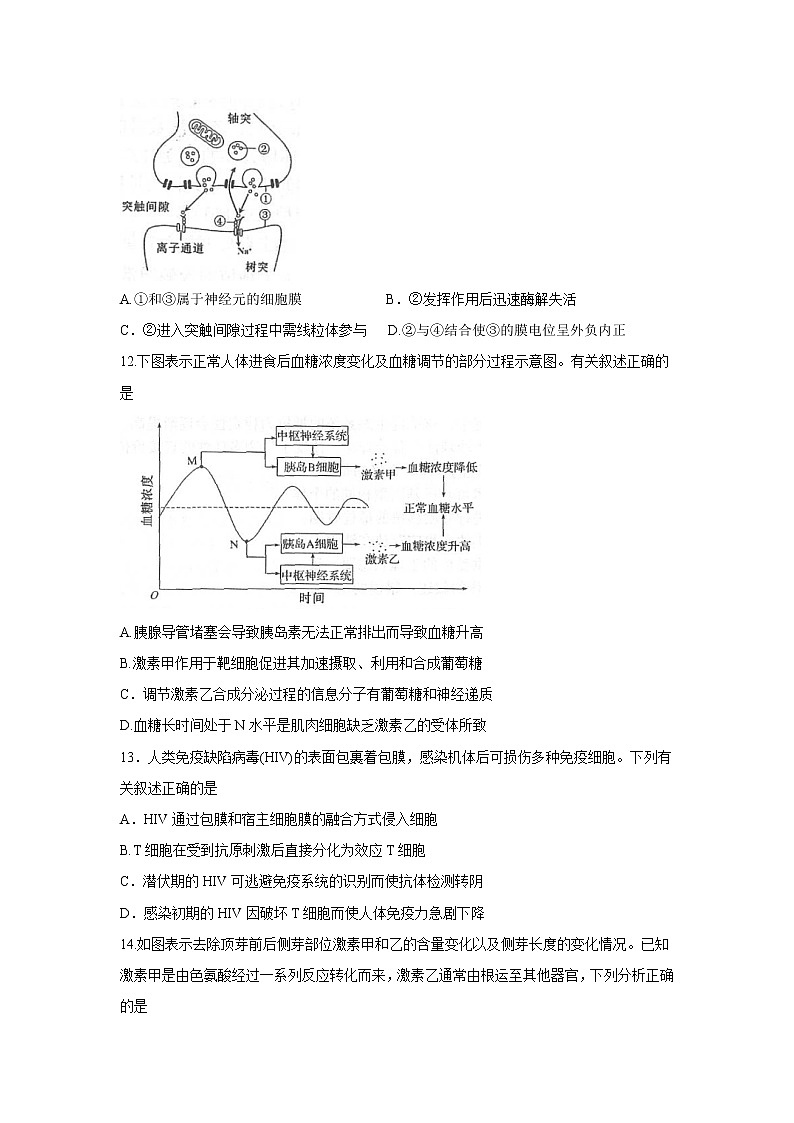 【生物】江苏省苏州市2019-2020学年高二下学期期末考试试卷03