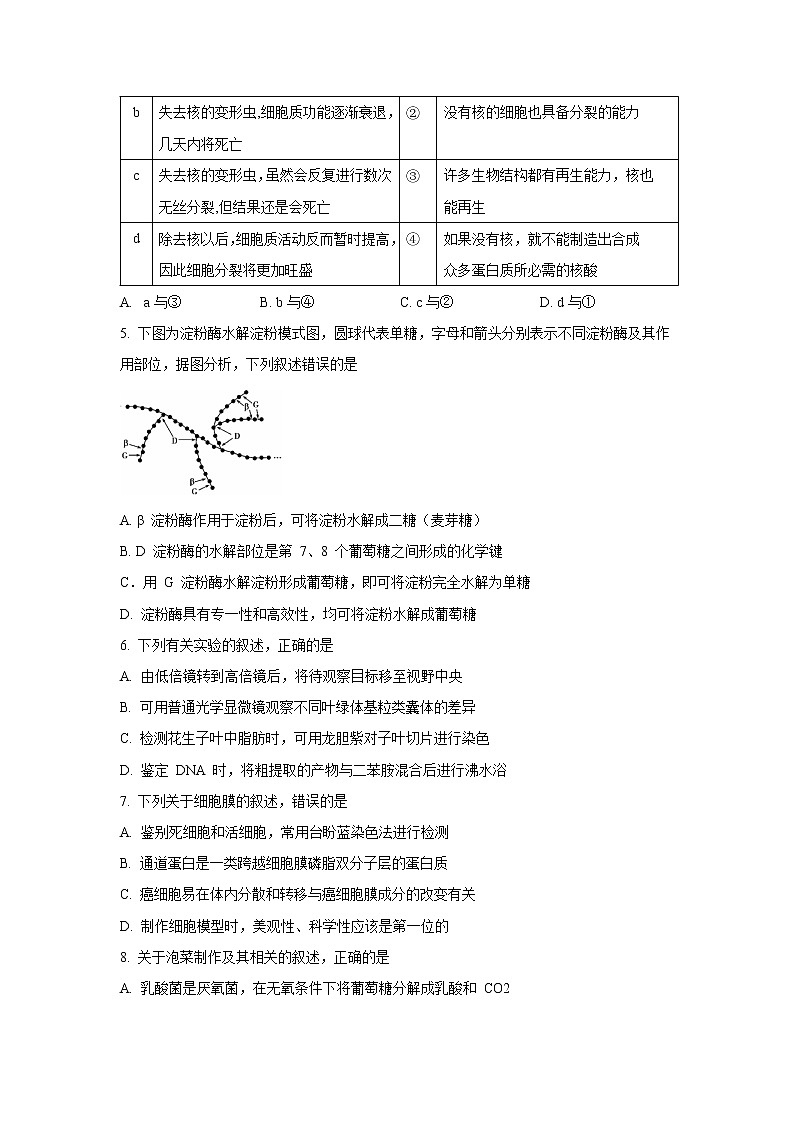 【生物】辽宁省大连市2019-2020学年高二下学期期末考试试题02