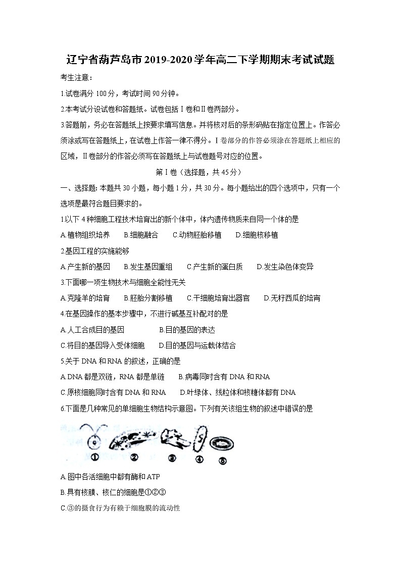 【生物】辽宁省葫芦岛市2019-2020学年高二下学期期末考试试题01