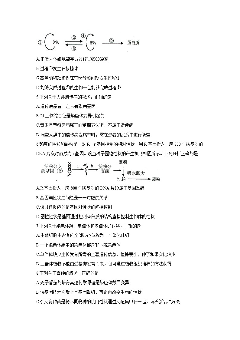 【生物】内蒙古赤峰市2019-2020学年高二下学期期末联考（A卷）试卷02