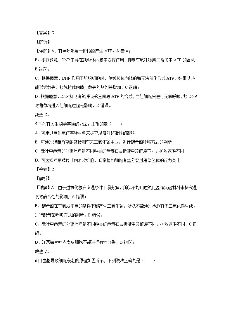 【生物】山东省滨州市2019-2020学年高二下学期期末考试试题（解析）03