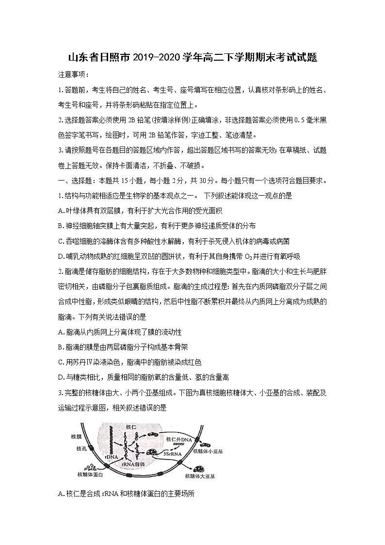 【生物】山东省日照市2019-2020学年高二下学期期末考试试题01