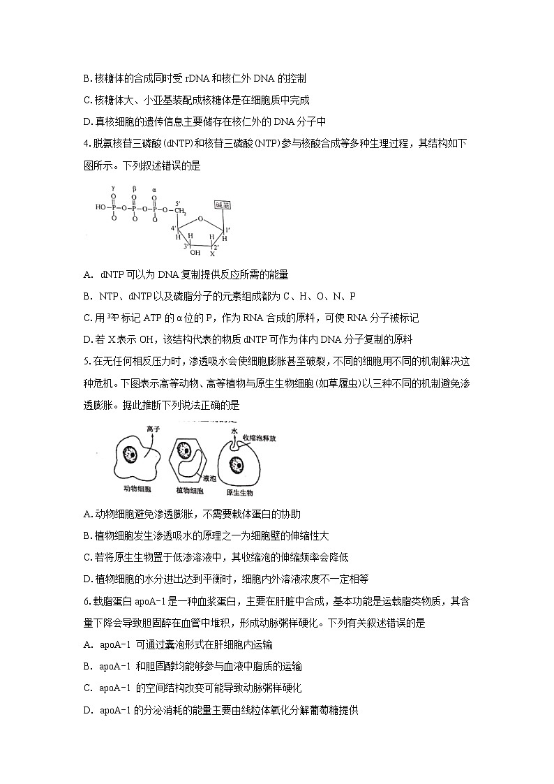 【生物】山东省日照市2019-2020学年高二下学期期末考试试题02
