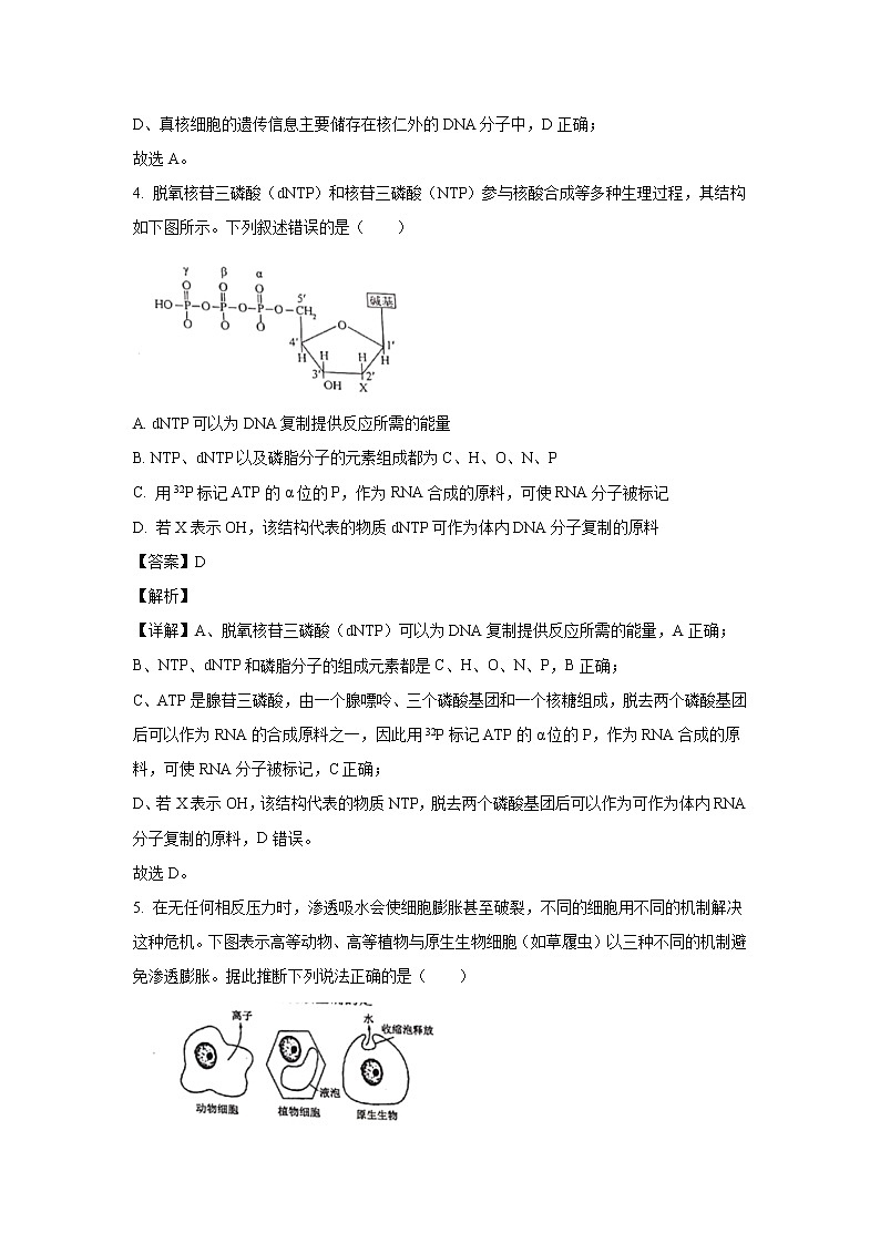 【生物】山东省日照市2019-2020学年高二下学期期末考试试题（解析版）第3页
