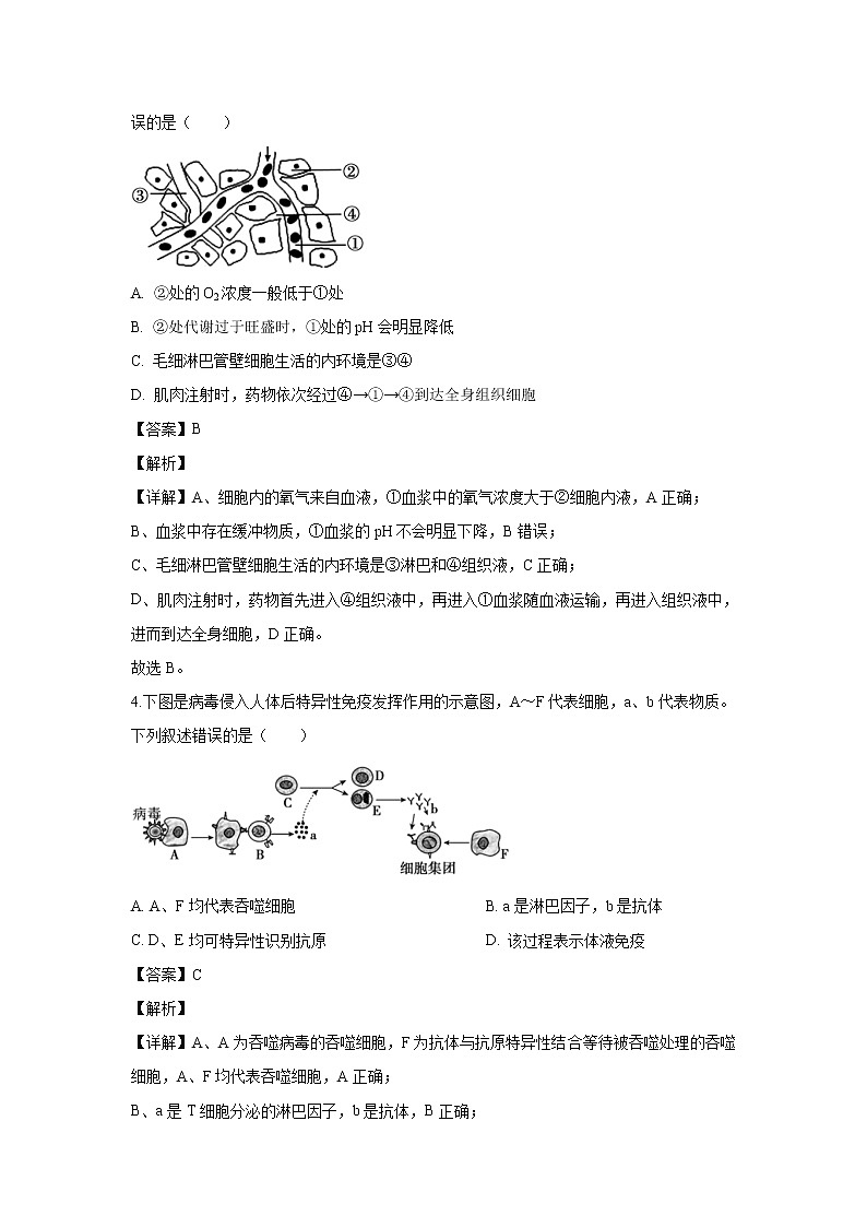 【生物】山东省威海市文登区2019-2020学年高二上学期期末考试试题（解析版）第2页