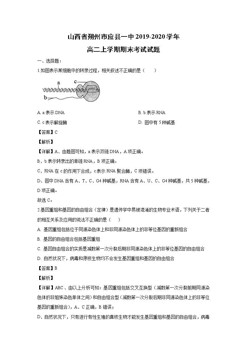 【生物】山西省朔州市应县一中2019-2020学年高二上学期期末考试试题（解析版）01