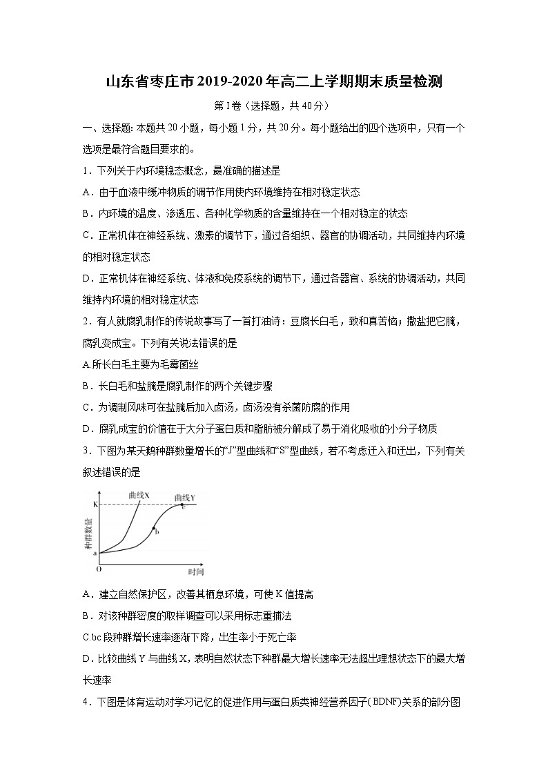 【生物】山东省枣庄市2019-2020年高二上学期期末质量检测01