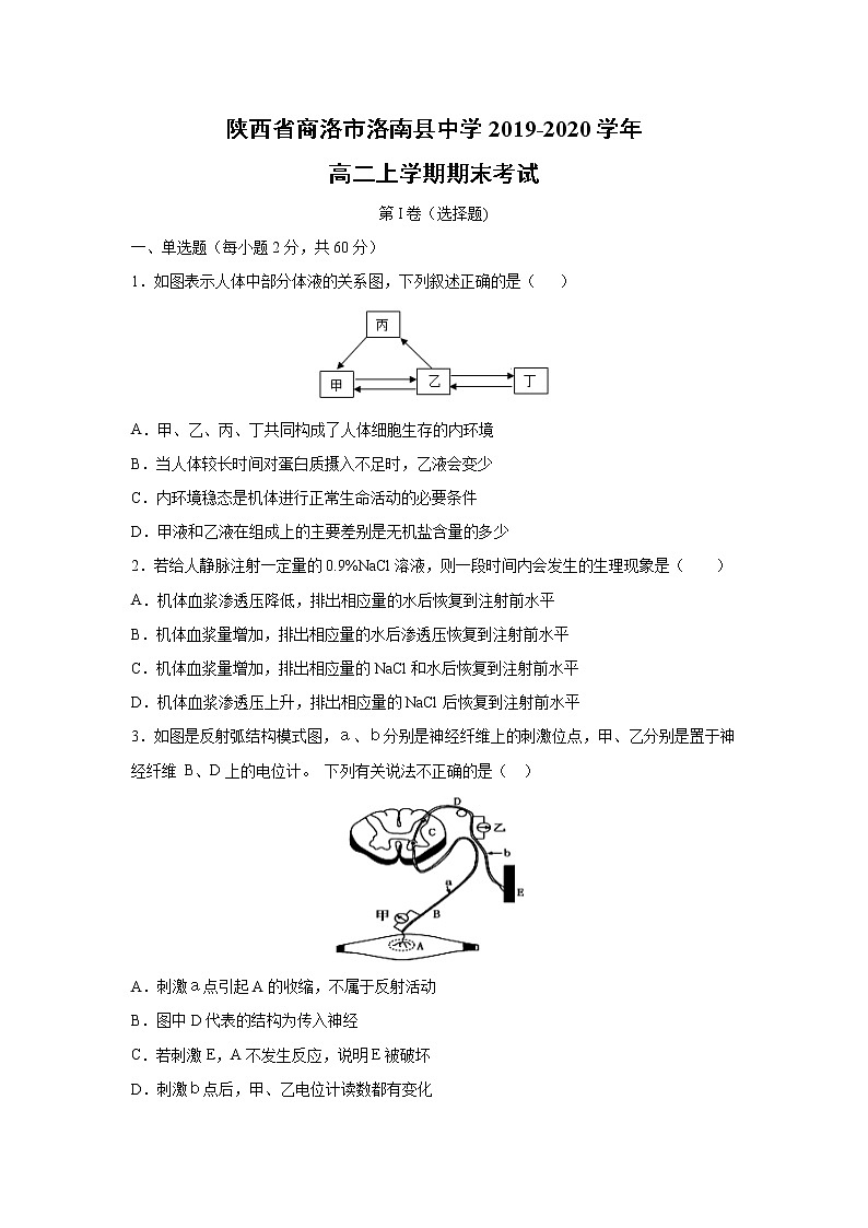 【生物】陕西省商洛市洛南县中学2019-2020学年高二上学期期末考试01