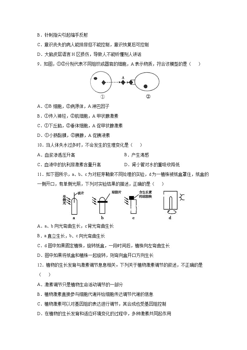 【生物】陕西省商洛市洛南县中学2019-2020学年高二上学期期末考试03
