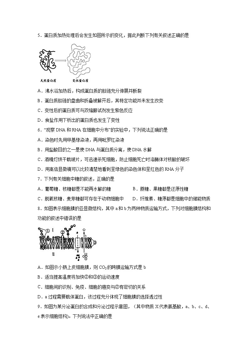 【生物】陕西省汉中市龙岗学校2019-2020学年高二上学期期末考试试题第2页